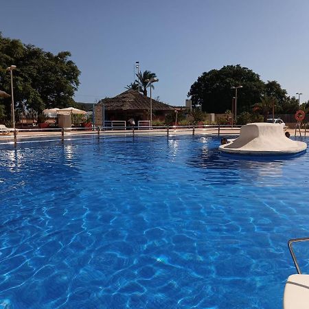 Sunny Place. Guardamar del Segura Exterior photo